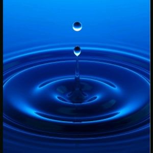 Meet your Posher, Coby